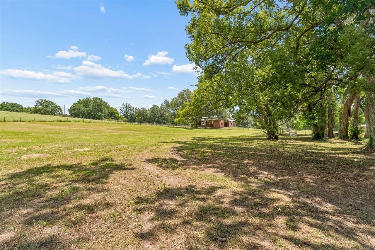 Listing Photo 64