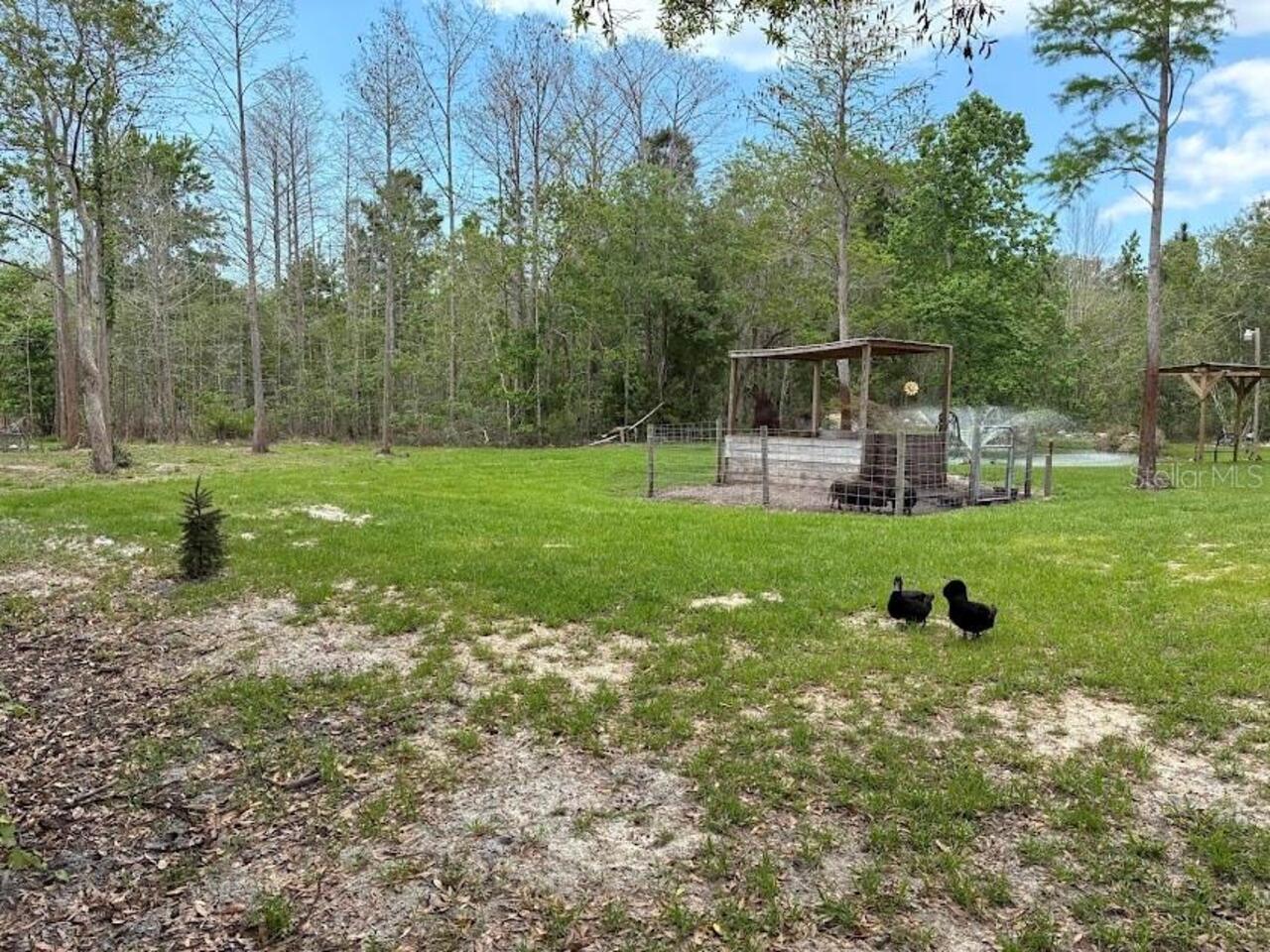 Listing Photo 32