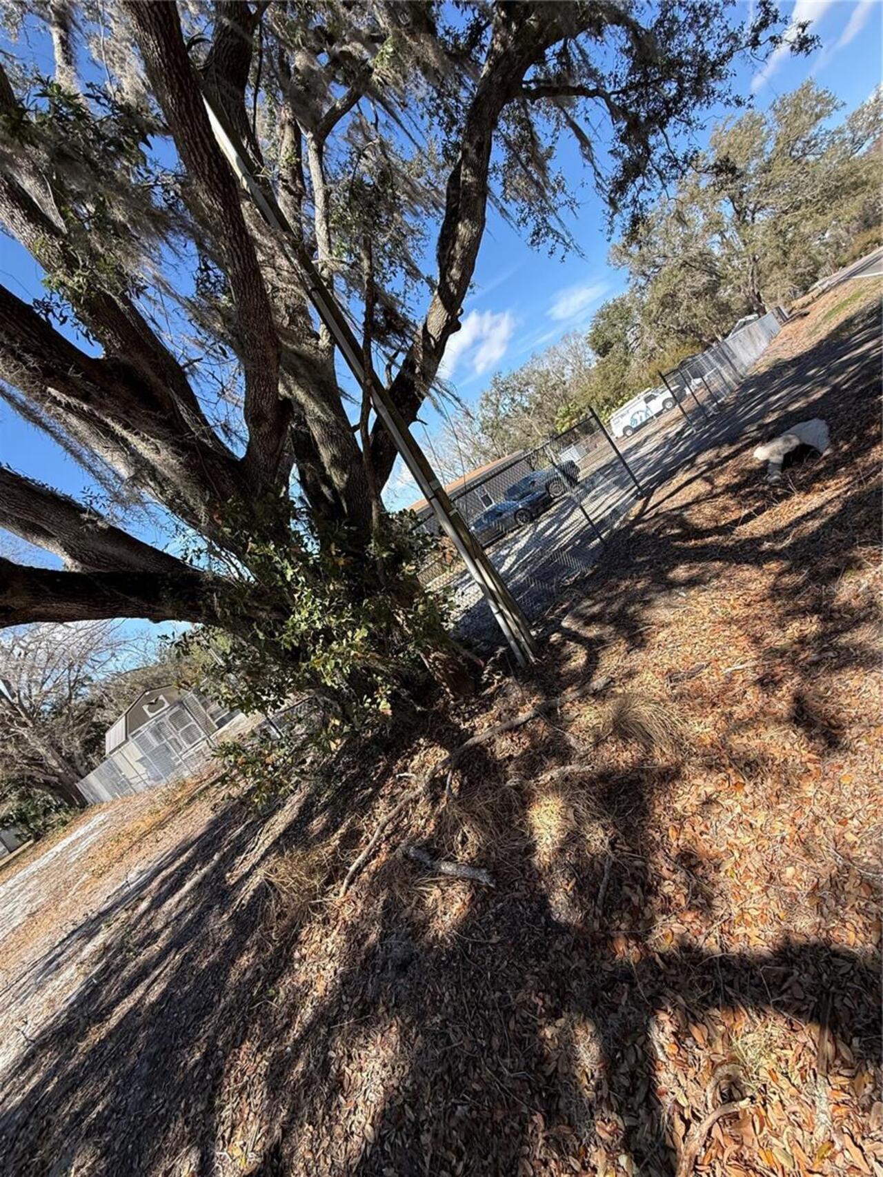 Listing Photo 43