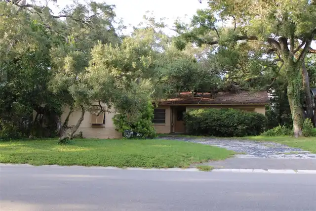 Tampa Real Estate