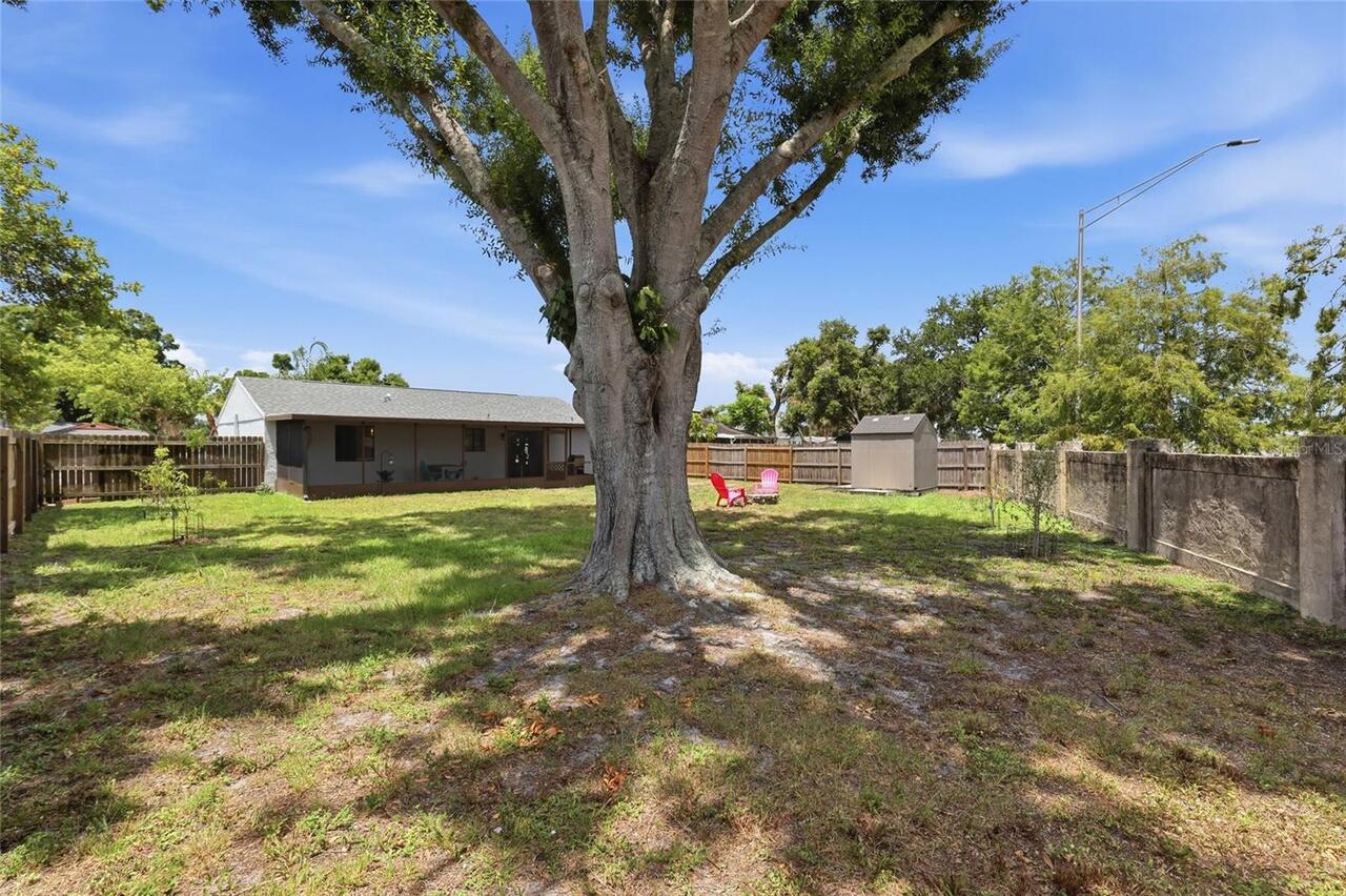 Listing Photo 29