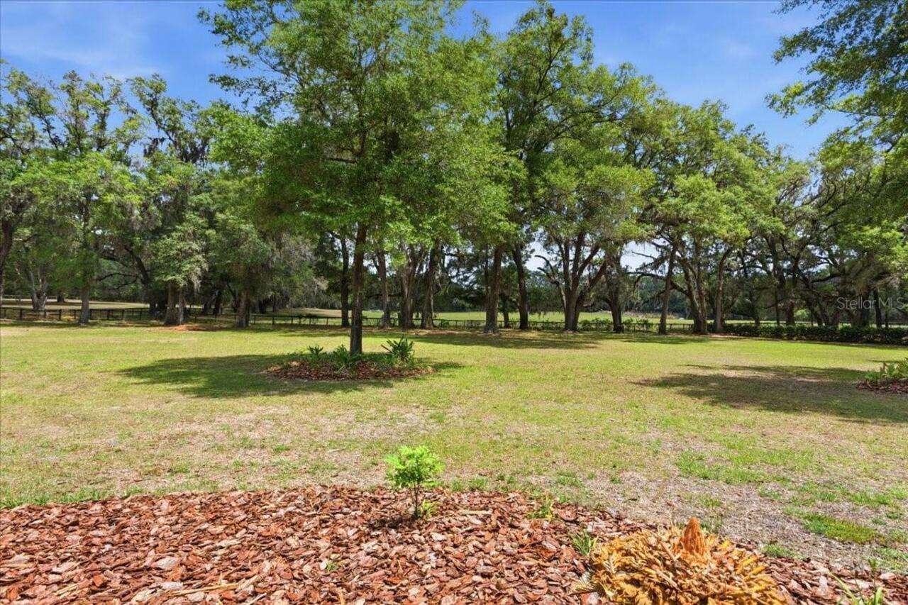 Listing Photo 51