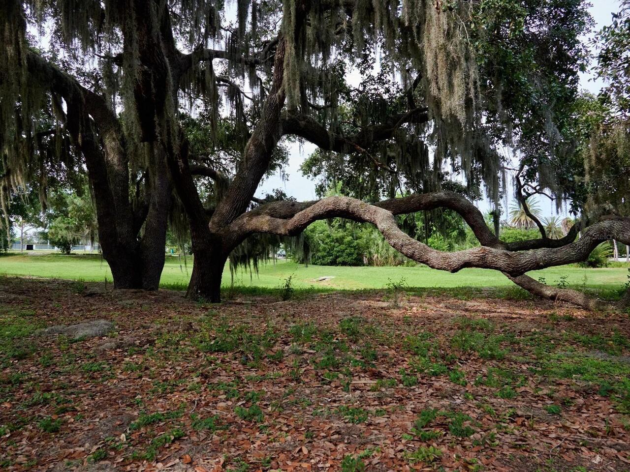 Listing Photo 67
