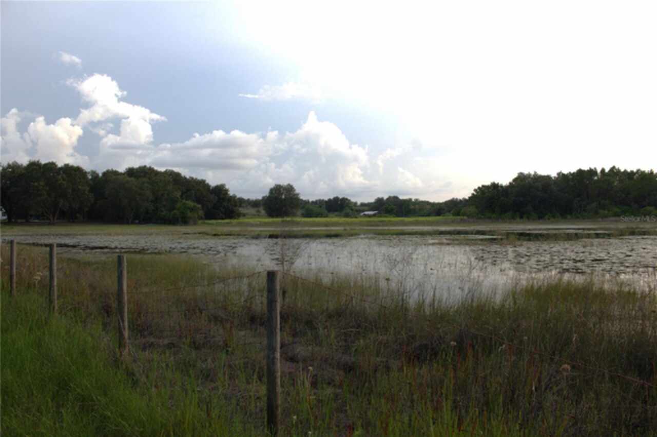Listing Photo 31