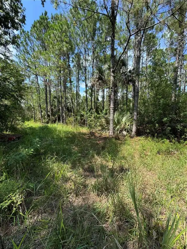 Listing Photo 7