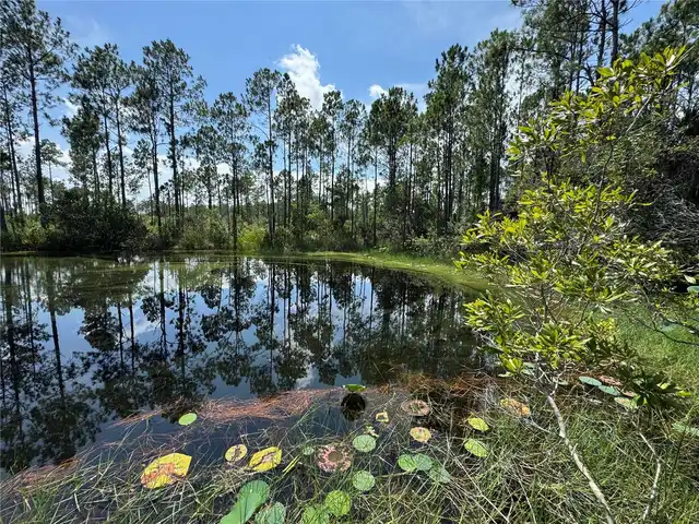 Listing Photo 10