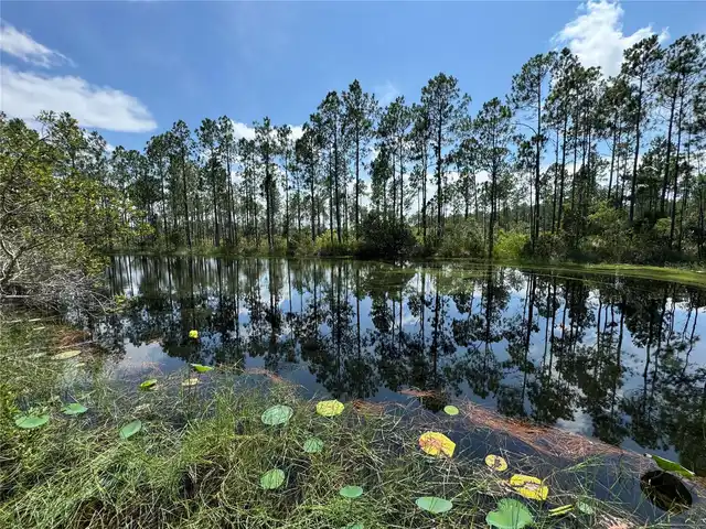 Listing Photo 11