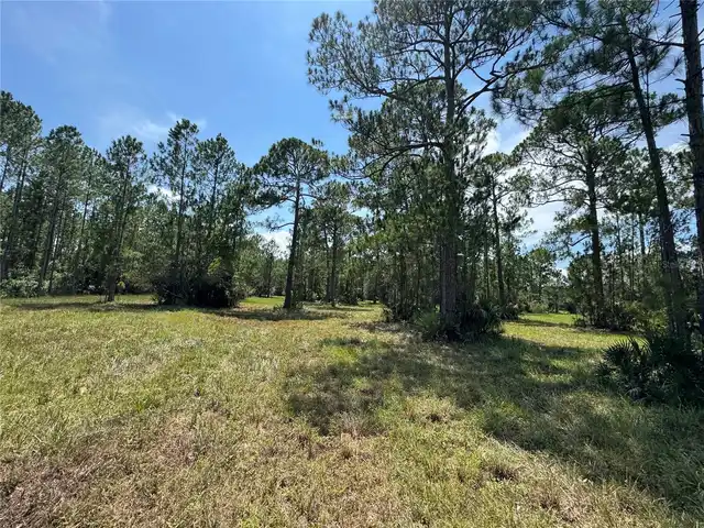 Listing Photo 15