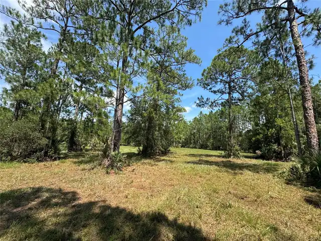 Listing Photo 17