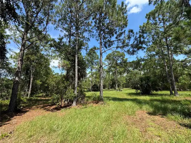 Listing Photo 19