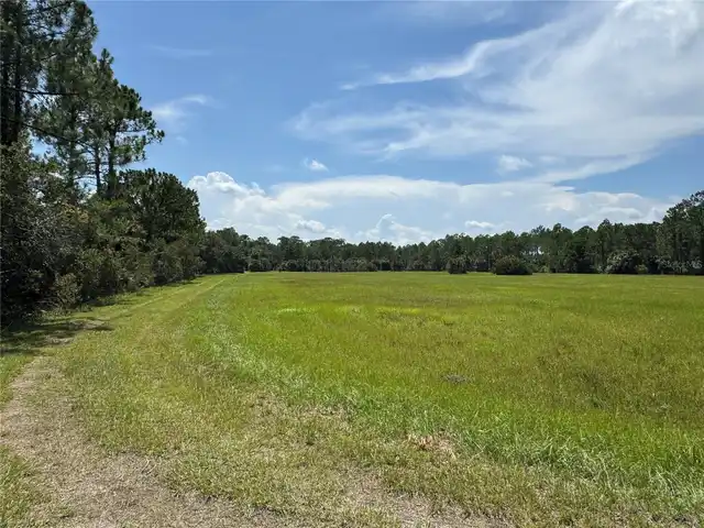 Listing Photo 21