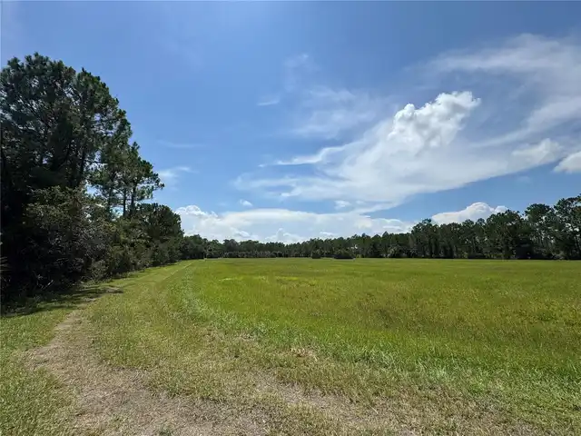 Listing Photo 22