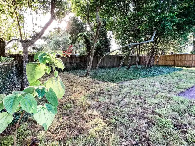 Listing Photo 20