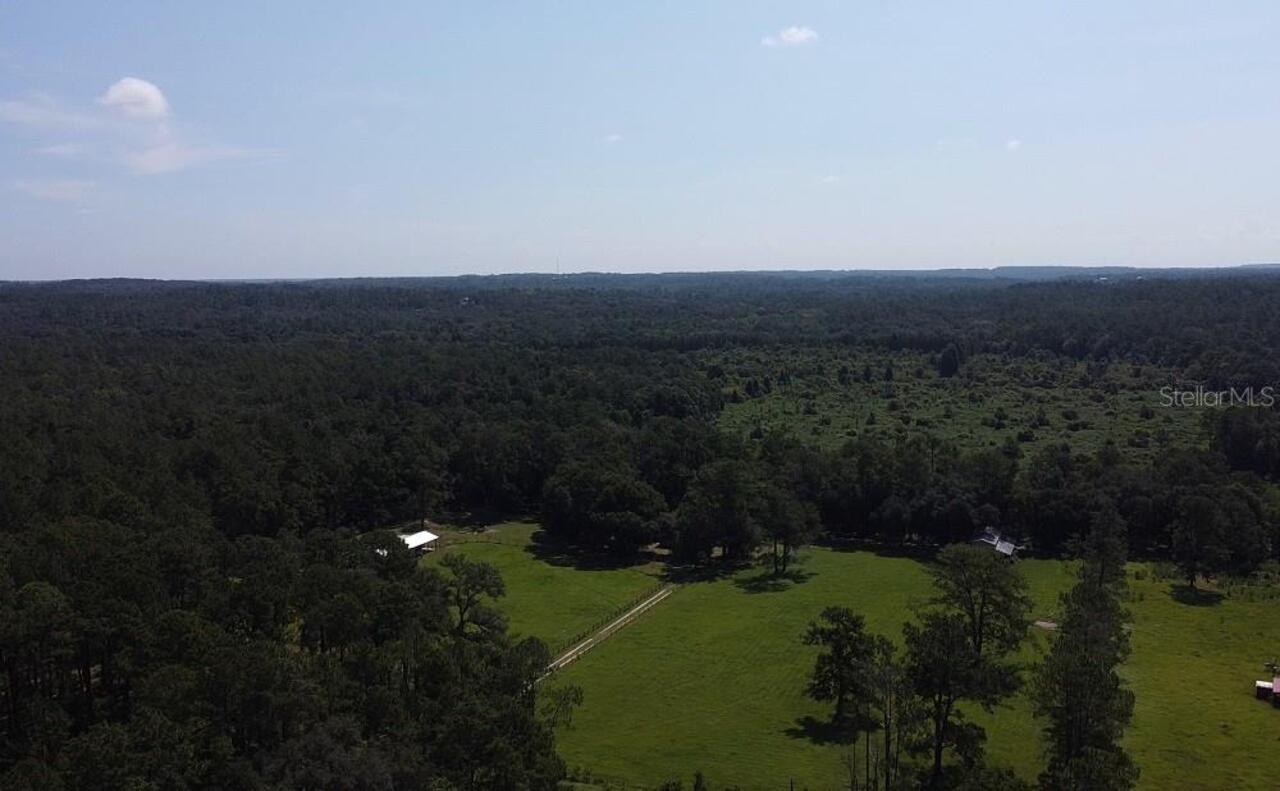 Brooksville Real Estate