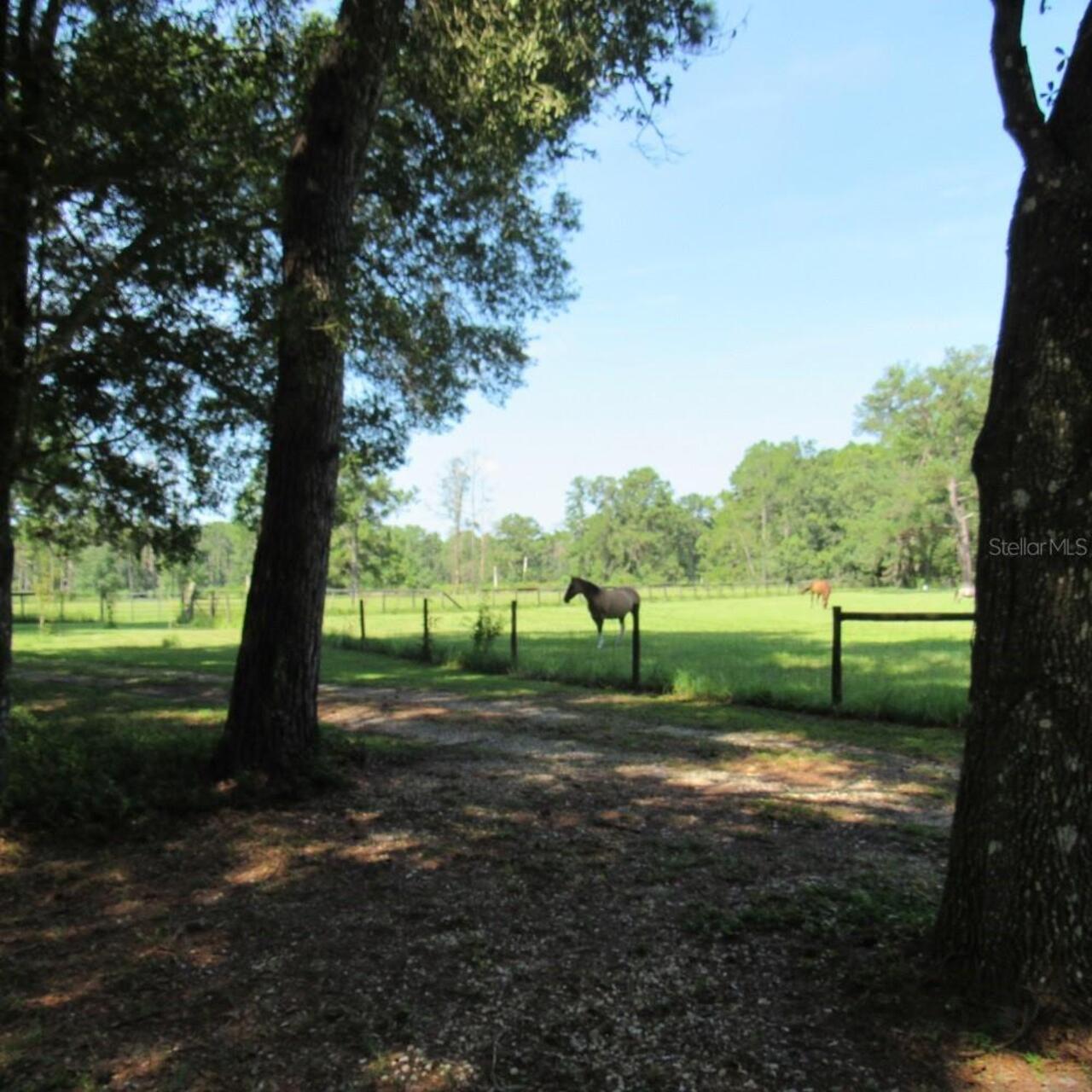 Listing Photo 68