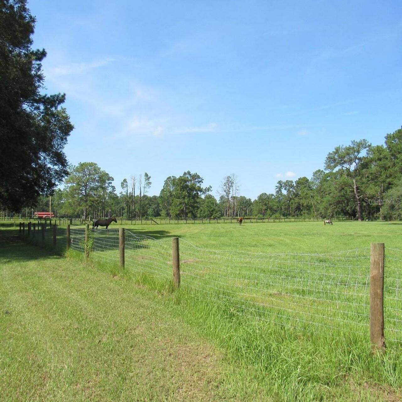 Listing Photo 71