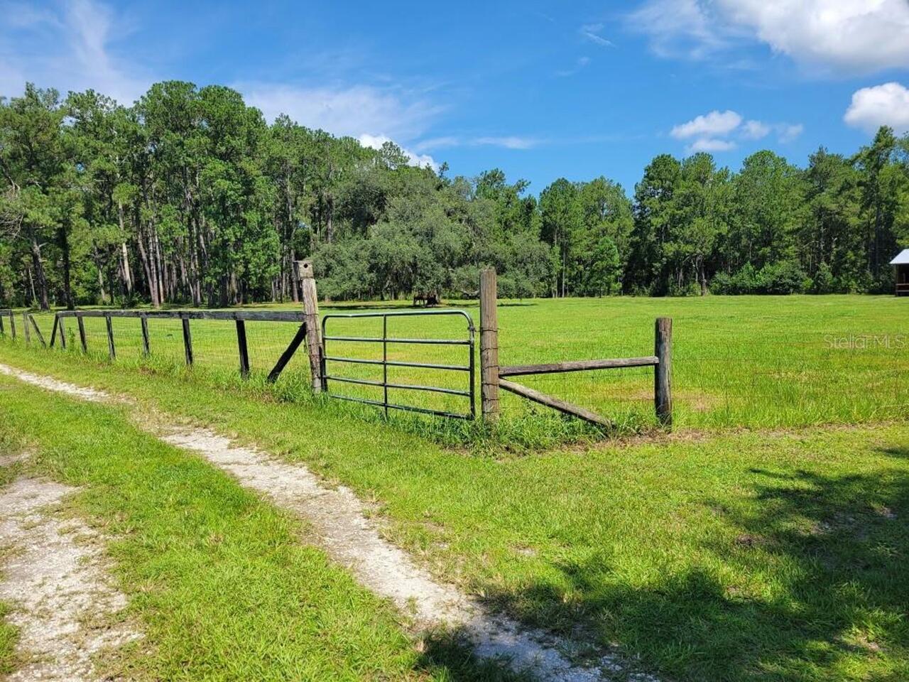 Listing Photo 72