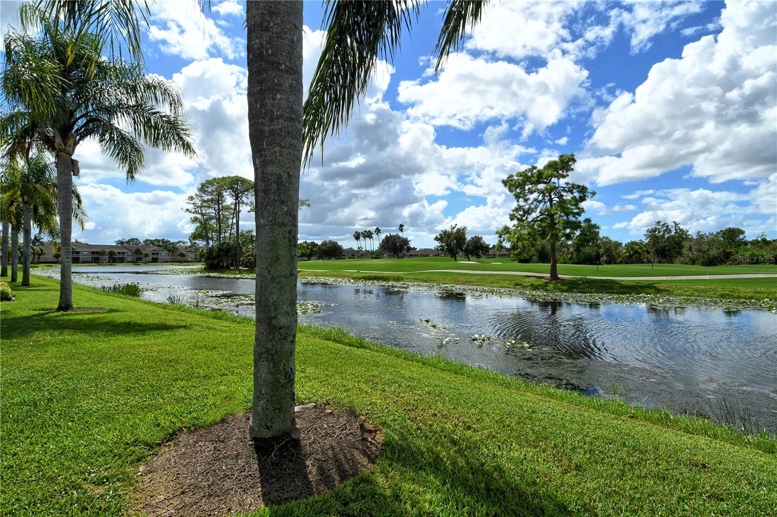 Listing Photo 45