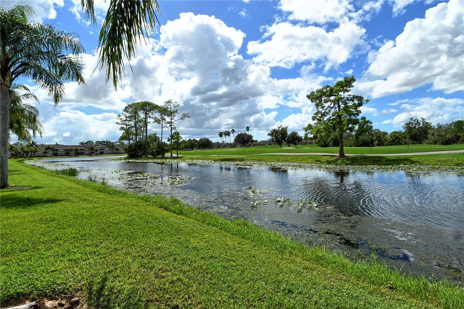 Listing Photo 48