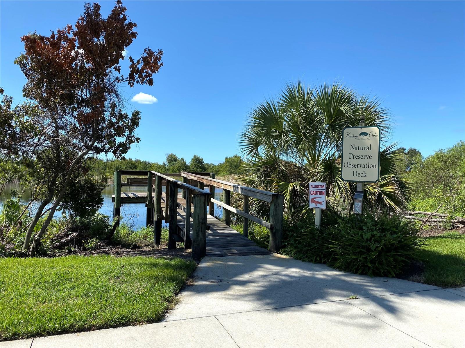 Listing Photo 68
