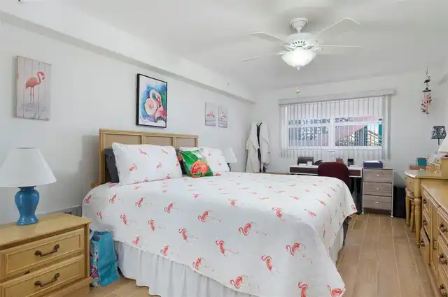 Listing Photo 14