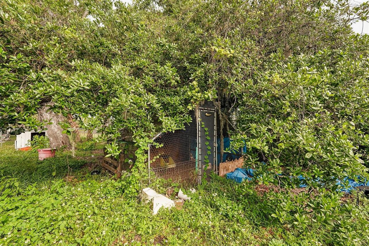 Listing Photo 34