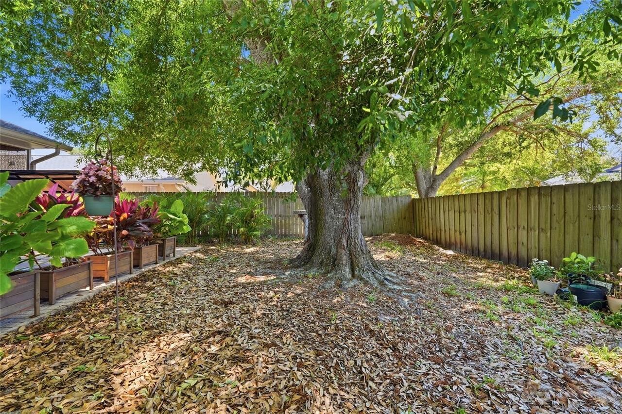 Listing Photo 58