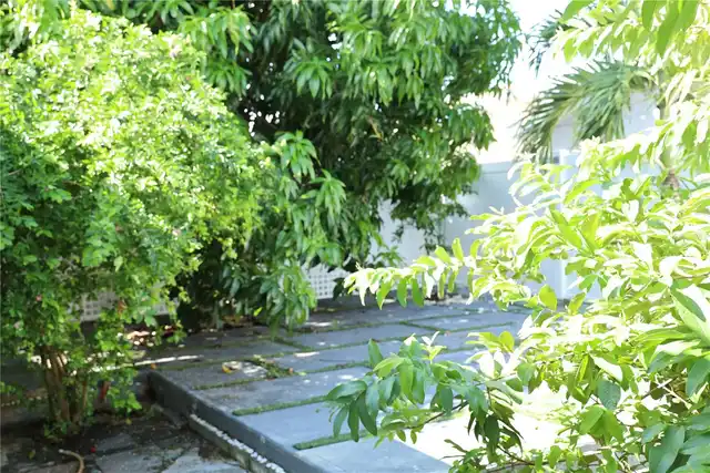 Listing Photo 23