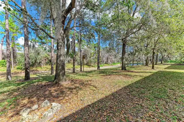 Listing Photo 39