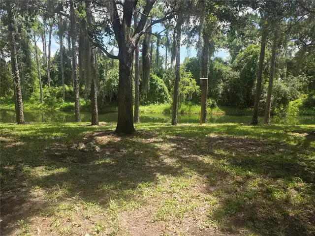 Listing Photo 53