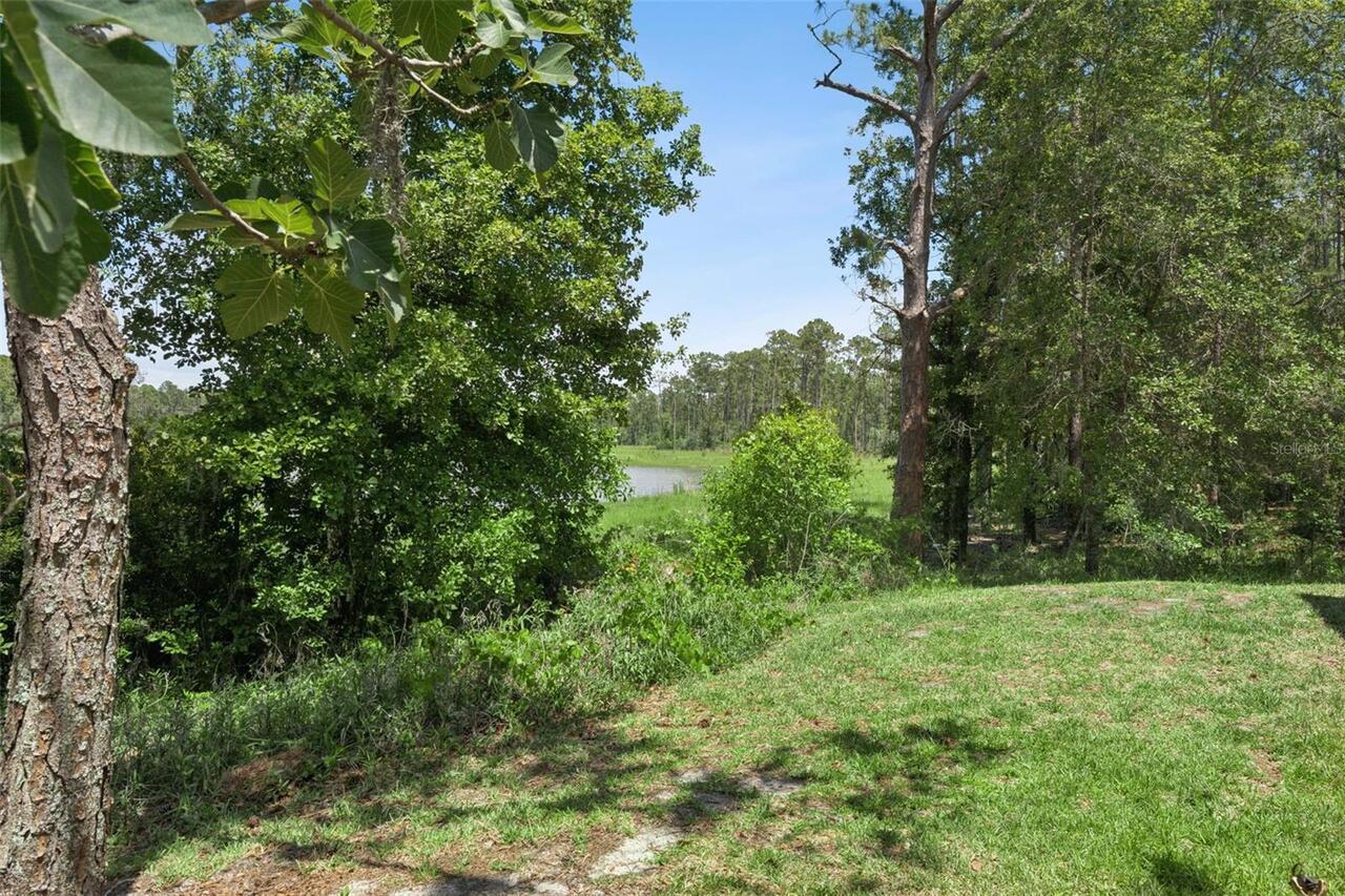 Listing Photo 34