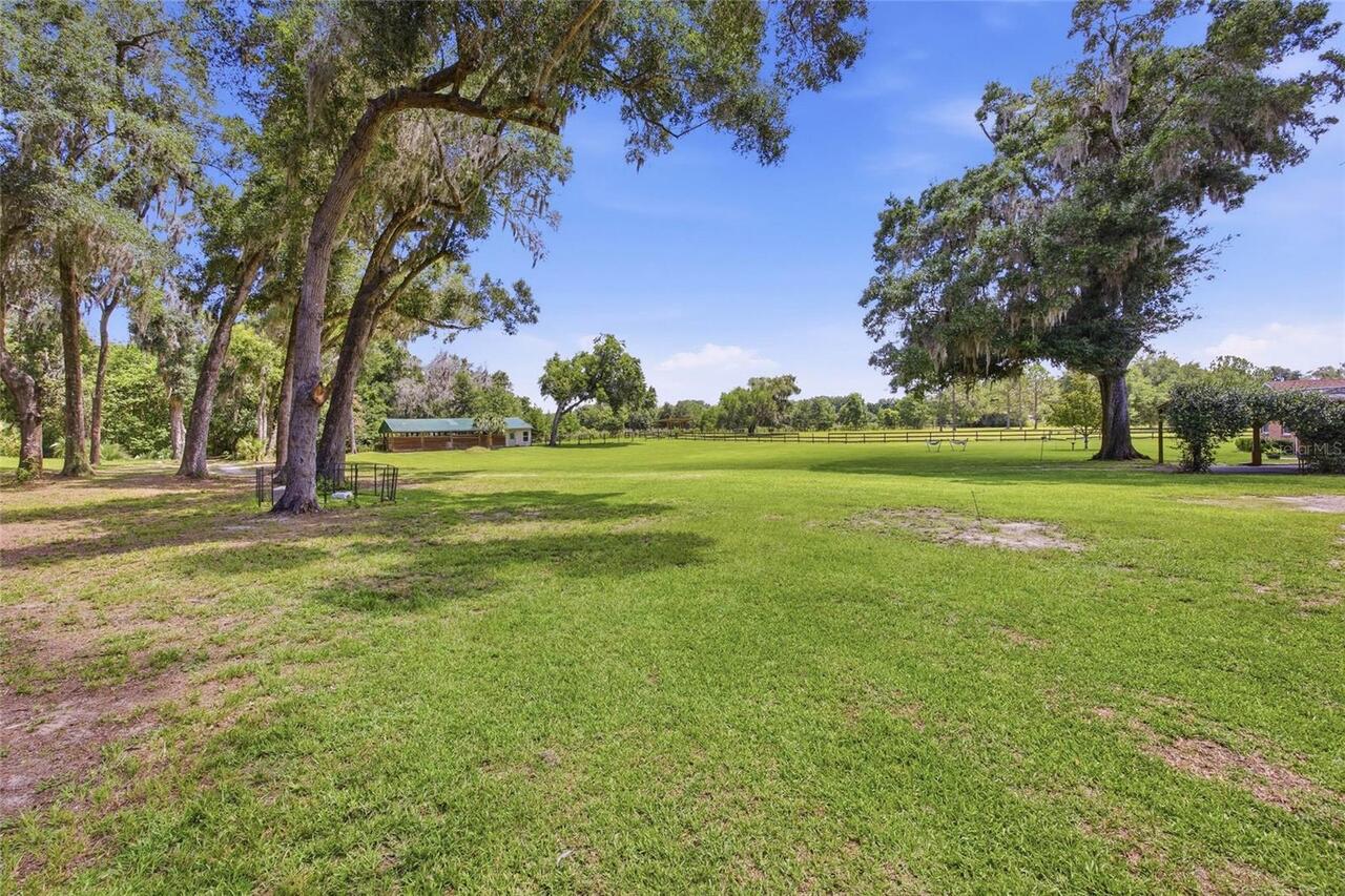 Listing Photo 48