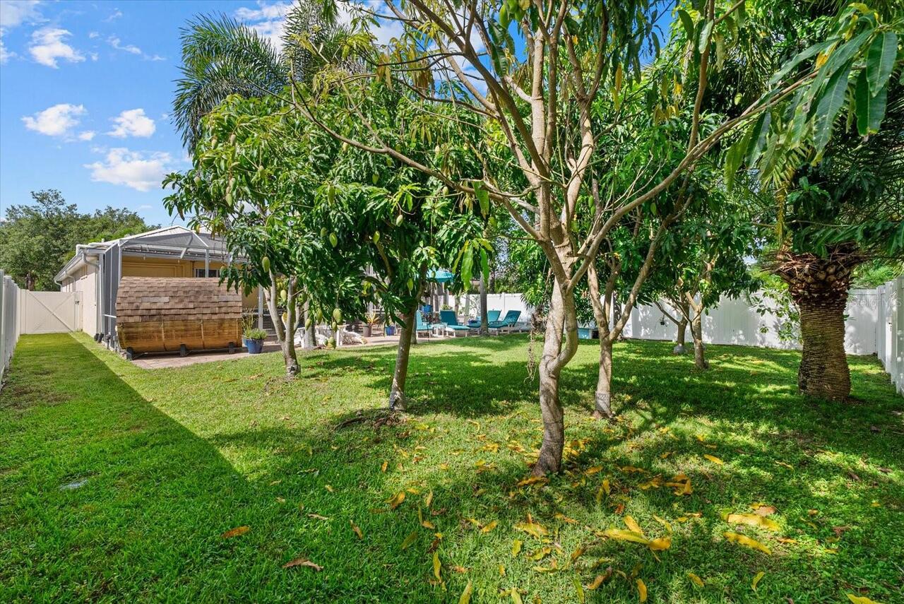 Listing Photo 41