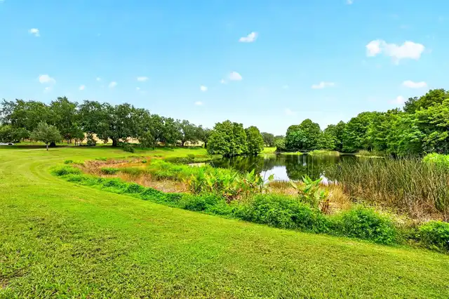 Listing Photo 41
