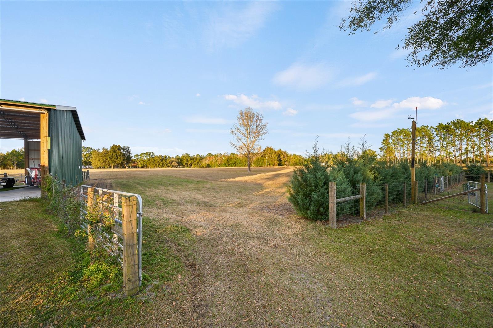 Listing Photo 11