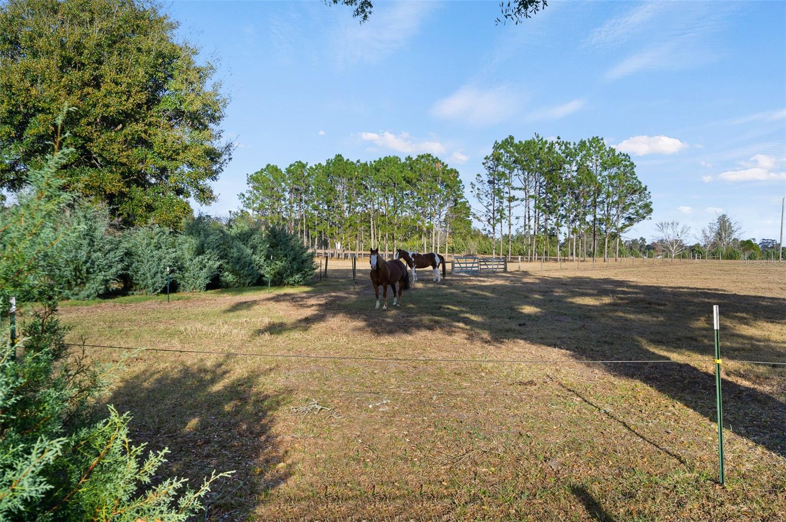 Listing Photo 16