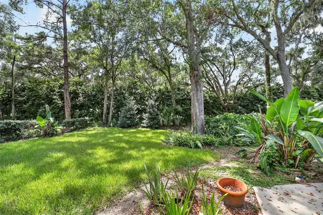 Listing Photo 57