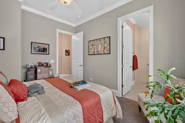 Listing Photo 22