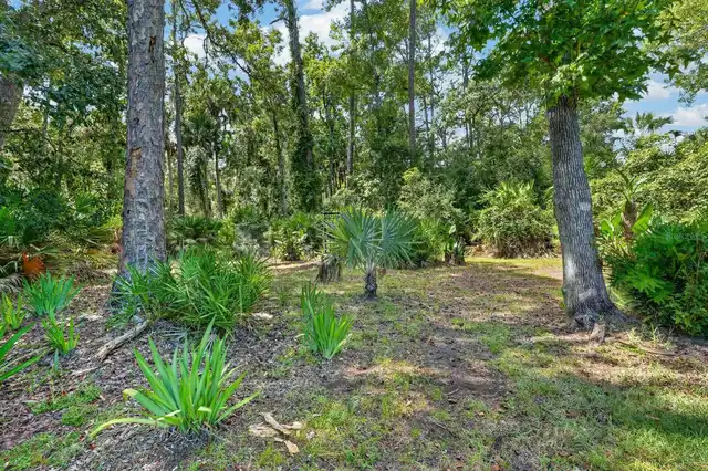 Listing Photo 41