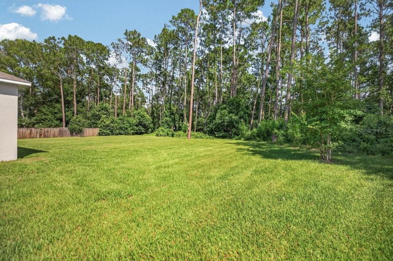 Listing Photo 58