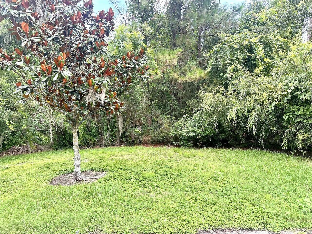 Listing Photo 29