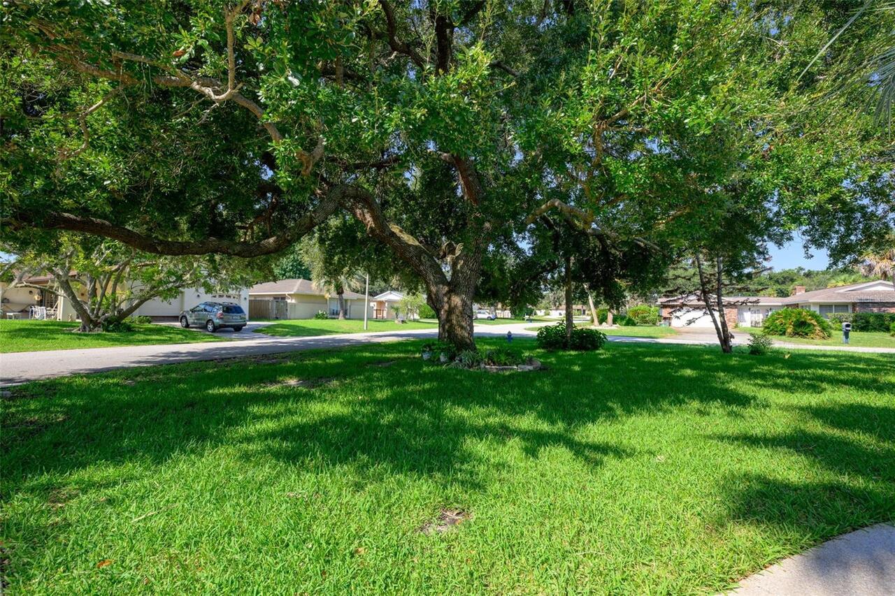 Listing Photo 30