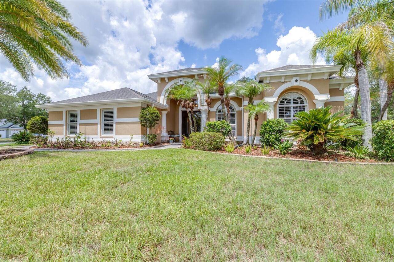 Tampa Real Estate