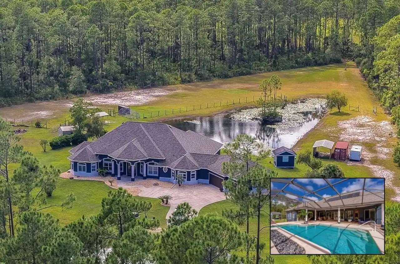 View Listing