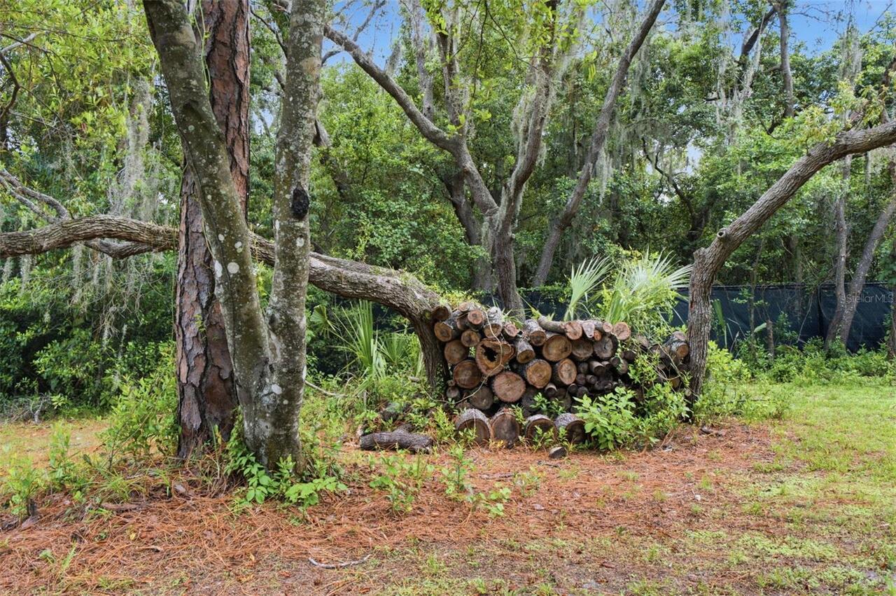 Listing Photo 51