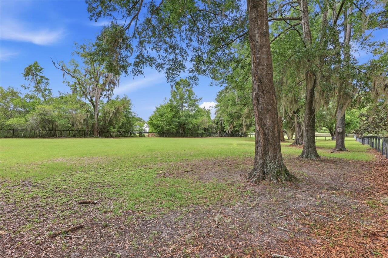 Listing Photo 43