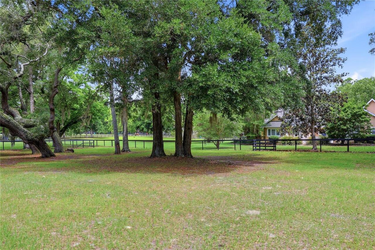 Listing Photo 45