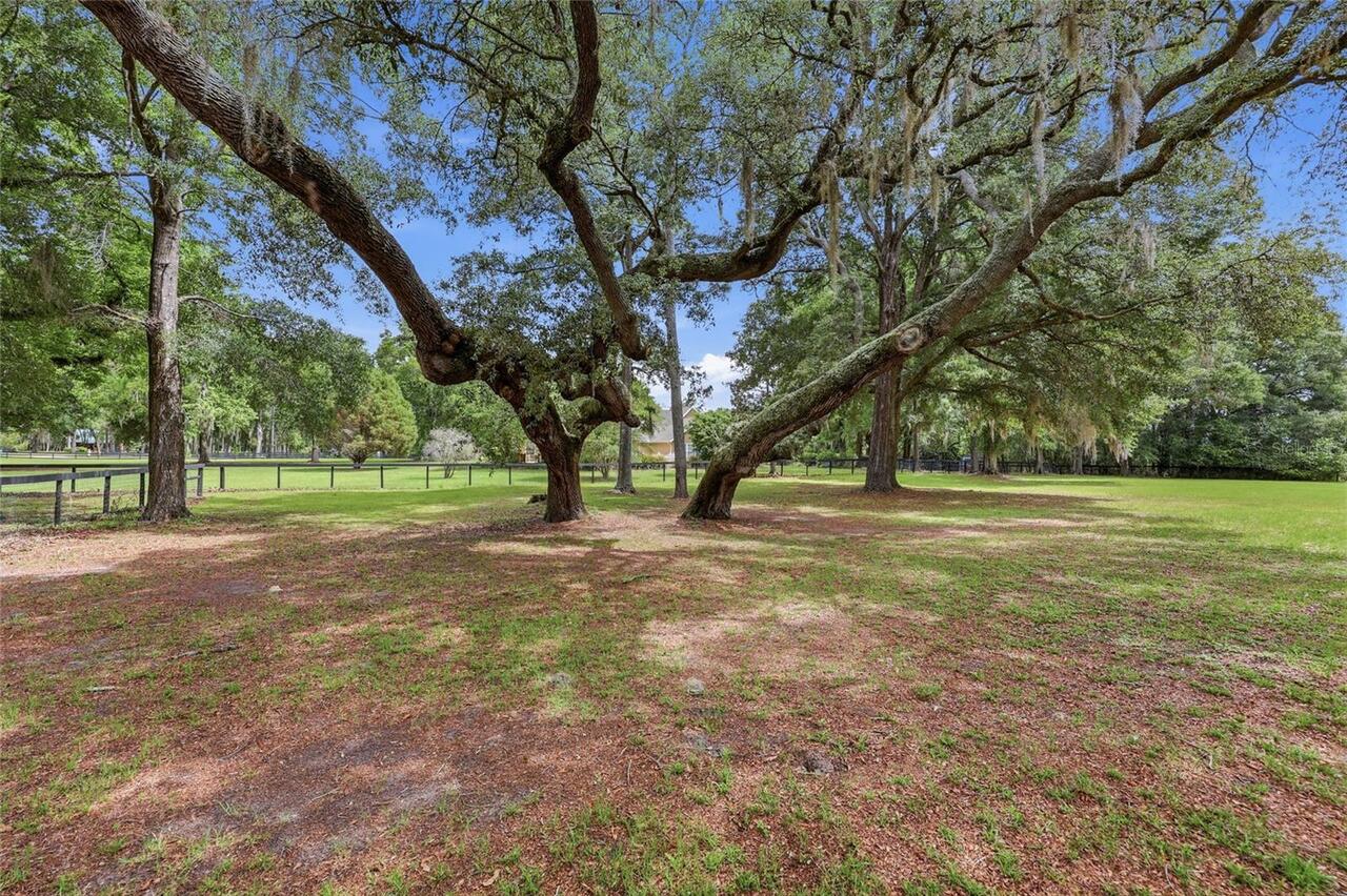 Listing Photo 46