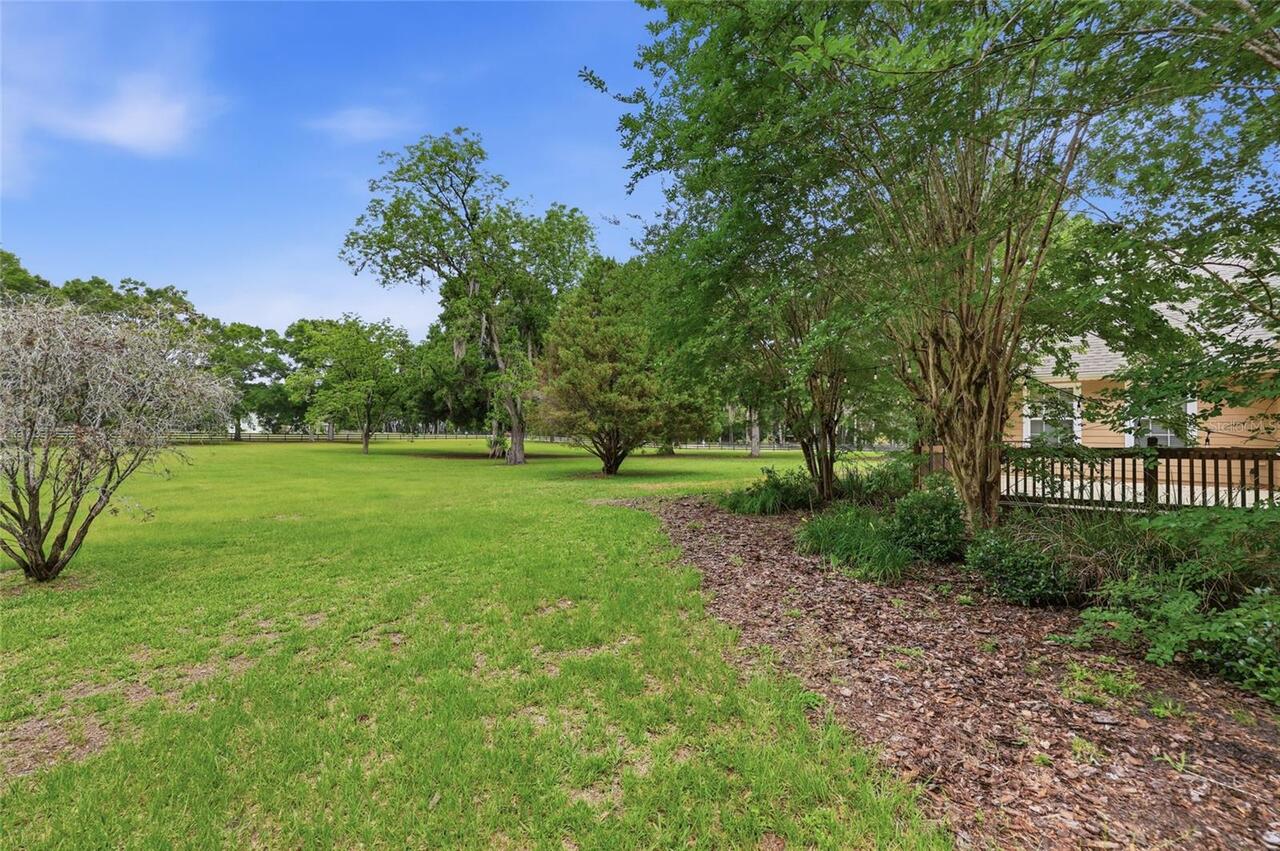 Listing Photo 49