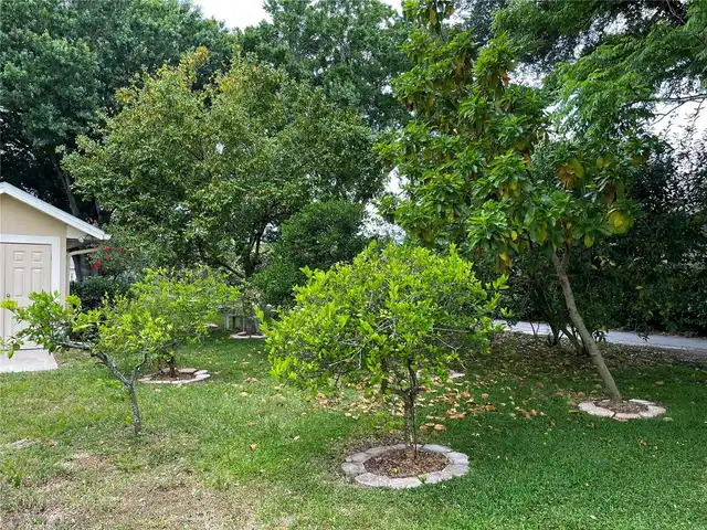 Listing Photo 35
